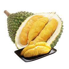 Sầu riêng Ri6 - Trường Khương A